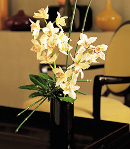  stanbul skdar iekiler  cam yada mika vazo ierisinde dal orkide
