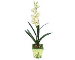 zel Yapay Orkide Beyaz   stanbul skdar online ieki , iek siparii 