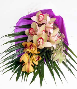  stanbul skdar cicekciler , cicek siparisi  1 adet dal orkide buket halinde sunulmakta