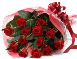  İstanbul Üsküdar anneler günü çiçek yolla  10 adet kipkirmizi güllerden buket tanzimi