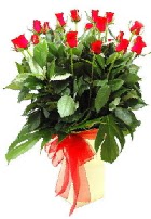 Vazoda 15 adet kırmızı gül  İstanbul Üsküdar online çiçek gönderme sipariş 