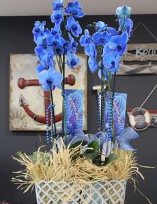 4 dall zel mavi orkide  stanbul skdar iek siparii vermek 