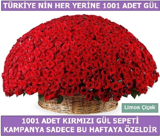 1001 Adet kırmızı gül Bu haftaya özel  İstanbul Üsküdar İnternetten çiçek siparişi 
