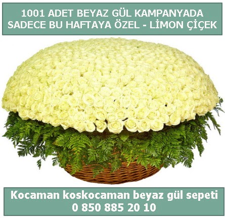 1001 adet beyaz gül sepeti özel kampanyada  İstanbul Üsküdar çiçek gönderme sitemiz güvenlidir 