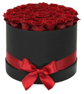 Siyah Kutuda 25 adet kırmızı gül  İstanbul Üsküdar çiçek gönderme sitemiz güvenlidir 