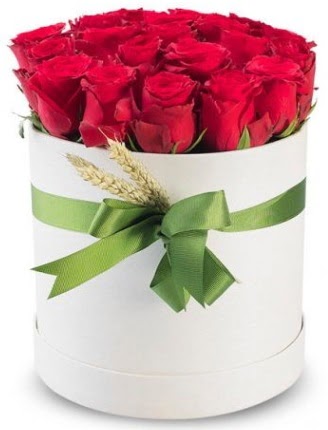 Özel kutuda 25 adet kırmızı gül çiçeği  İstanbul Üsküdar çiçek satışı 