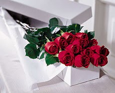  İstanbul Üsküdar çiçek satışı  özel kutuda 12 adet gül