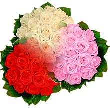 3 renkte gül seven sever   İstanbul Üsküdar çiçek , çiçekçi , çiçekçilik 
