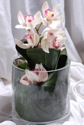  İstanbul Üsküdar internetten çiçek siparişi  Cam yada mika vazo içerisinde tek dal orkide