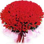  İstanbul Üsküdar online çiçekçi , çiçek siparişi  1001 adet kirmizi gülden çiçek tanzimi