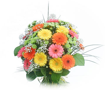 13 adet gerbera çiçegi buketi  İstanbul Üsküdar online çiçek gönderme sipariş 