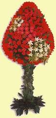  İstanbul Üsküdar çiçek gönderme  dügün açilis çiçekleri  İstanbul Üsküdar çiçek online çiçek siparişi 