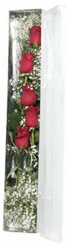  İstanbul Üsküdar çiçek siparişi sitesi   5 adet gülden kutu güller