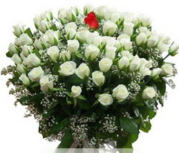  İstanbul Üsküdar internetten çiçek satışı  100 adet beyaz 1 adet kirmizi gül buketi