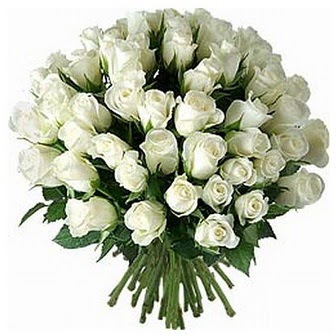  İstanbul Üsküdar çiçek servisi , çiçekçi adresleri  33 adet beyaz gül buketi