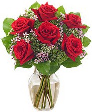 Kız arkadaşıma hediye 6 kırmızı gül  İstanbul Üsküdar internetten çiçek siparişi 