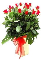 Vazoda 15 adet kırmızı gül  İstanbul Üsküdar online çiçek gönderme sipariş 