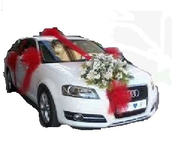  İstanbul Üsküdar hediye çiçek yolla  Gelin arabası sünnet arabası süsleme