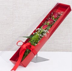 Kutu içerisinde 3 adet kırmızı gül  İstanbul Üsküdar online çiçek gönderme sipariş 