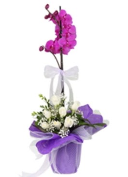 1 dal mor orkide ve 11 adet beyaz gül  İstanbul Üsküdar 14 şubat sevgililer günü çiçek 