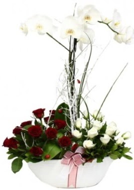 Tek dal beyaz orkide 8 beyaz 8 kırmızı gül  İstanbul Üsküdar çiçek satışı 