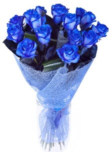 12 adet mavi gül buketi  İstanbul Üsküdar çiçek servisi , çiçekçi adresleri 