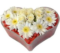 Kalp içerisinde 7 beyaz gül ve papatyalar  İstanbul Üsküdar internetten çiçek satışı 