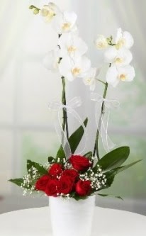 2 dallı beyaz orkide 7 adet kırmızı gül  İstanbul Üsküdar 14 şubat sevgililer günü çiçek 