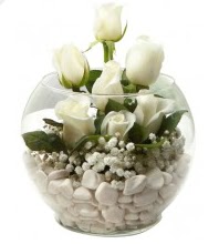 11 adet beyaz gül cam fanus çiçeği  İstanbul Üsküdar çiçek mağazası , çiçekçi adresleri 