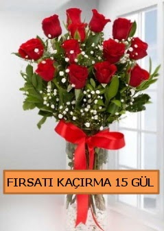  15 İthal kırmızı gül büyük başlı orjinal  İstanbul Üsküdar çiçek siparişi sitesi 