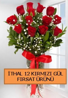  İthal kırmızı 12 adet kaliteli gül  İstanbul Üsküdar ucuz çiçek gönder 