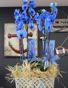 4 dallı özel mavi orkide  İstanbul Üsküdar çiçek siparişi vermek 