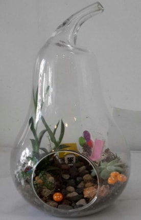 Orta boy cam armut terrarium  İstanbul Üsküdar çiçek satışı 