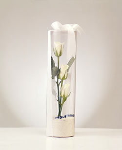  İstanbul Üsküdar çiçek gönderme  Nazar boncuklu 3 beyaz gül