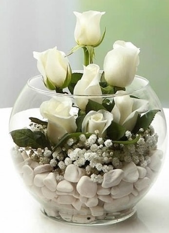 Beyaz Mutluluk 9 beyaz gül fanusta  İstanbul Üsküdar çiçek siparişi sitesi 