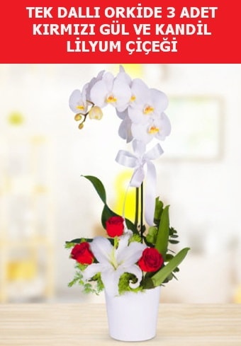 Tek dallı orkide 3 gül ve kandil lilyum  İstanbul Üsküdar çiçek yolla 