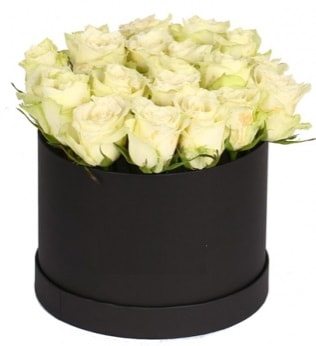 19 adet beyaz gülden görsel kutu çiçeği  İstanbul Üsküdar çiçek siparişi sitesi 