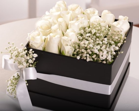 Kutu içerisinde 19 beyaz gül ve cipsofilya  İstanbul Üsküdar çiçek , çiçekçi , çiçekçilik 