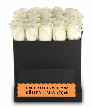 Kare kutuda 17 adet beyaz gül tanzimi  İstanbul Üsküdar çiçek siparişi sitesi 